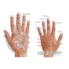 Плакат рефлексогенных зон рук