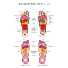 Рефлекторні зони людини