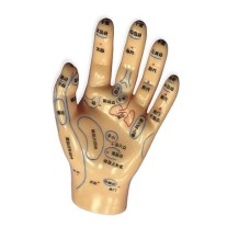 Акупунктурный макет руки левая
