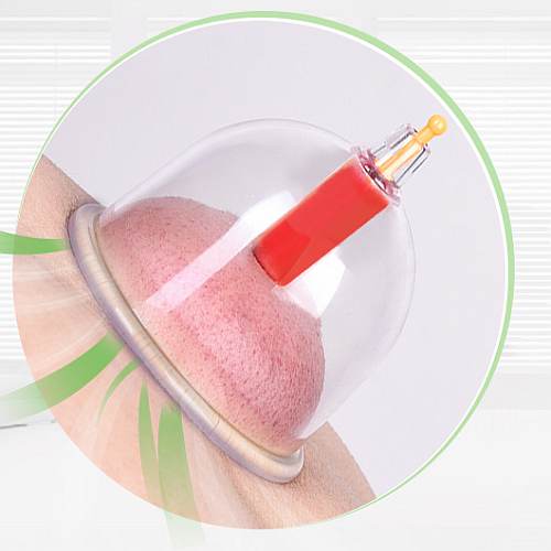 kangzhu-24pcs-magnit-1 kangzhu-24pcs-magnit-1