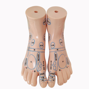 Акупунктурный макет ноги пара