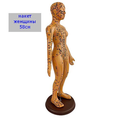 zhenchina-1 zhenchina-1