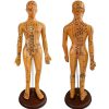 Акупунктурный макет женщины 62см телесного цвета Акупунктурный макет женщины 62см телесного цвета