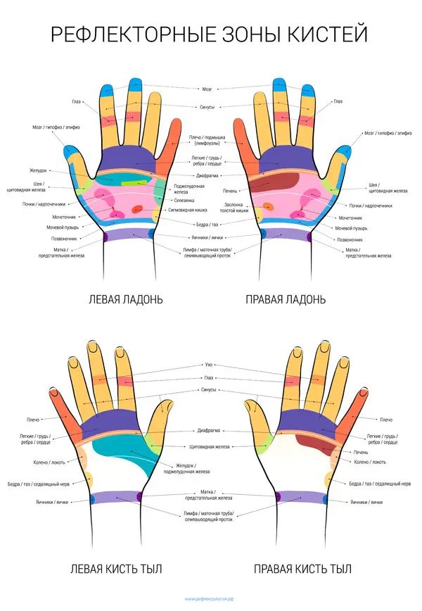 plakat-kisti-ruk Плакат рефлексогенних зон рук