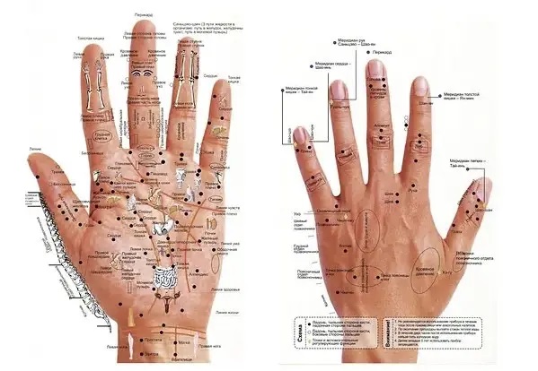 Плакат рефлексогенных зон рук