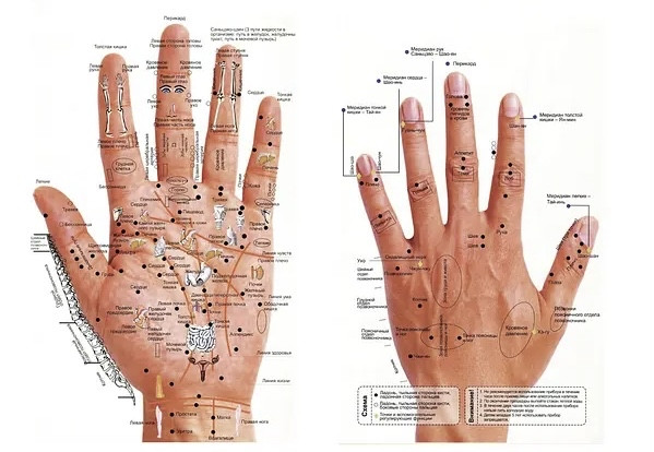 Східна медицина. Масажні точки на руці