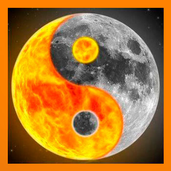 Интернет-магазин «Акупунктура»